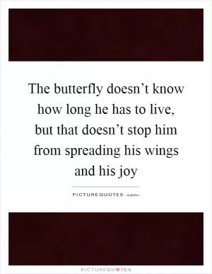 The butterfly doesn’t know how long he has to live, but that doesn’t stop him from spreading his wings and his joy Picture Quote #1
