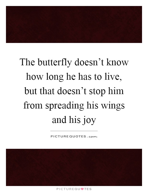 The butterfly doesn't know how long he has to live, but that doesn't stop him from spreading his wings and his joy Picture Quote #1