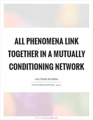 All phenomena link together in a mutually conditioning network Picture Quote #1