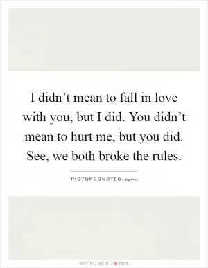 I didn’t mean to fall in love with you, but I did. You didn’t mean to hurt me, but you did. See, we both broke the rules Picture Quote #1