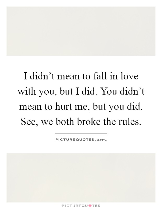 I didn't mean to fall in love with you, but I did. You didn't mean to hurt me, but you did. See, we both broke the rules Picture Quote #1