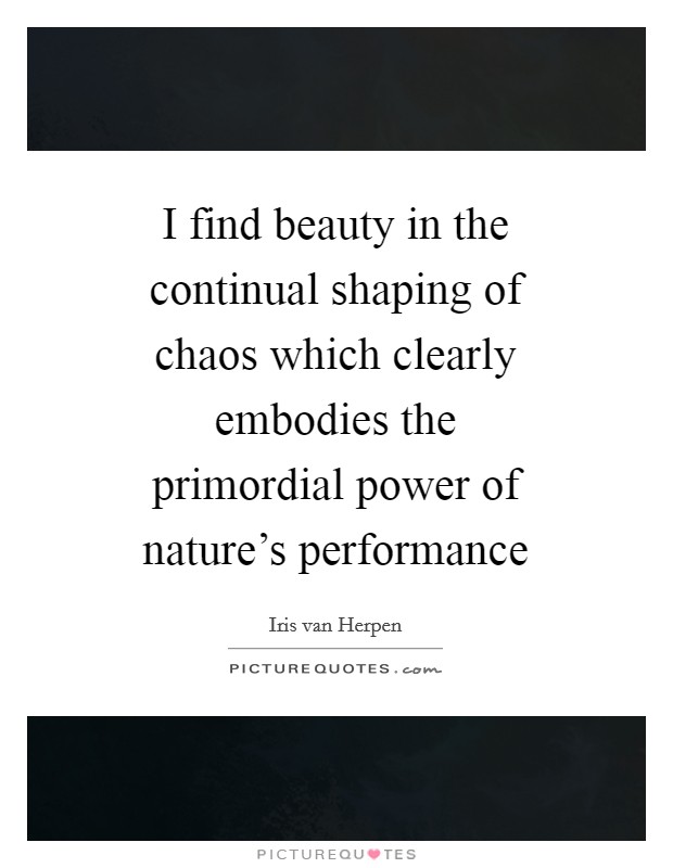 I find beauty in the continual shaping of chaos which clearly embodies the primordial power of nature's performance Picture Quote #1