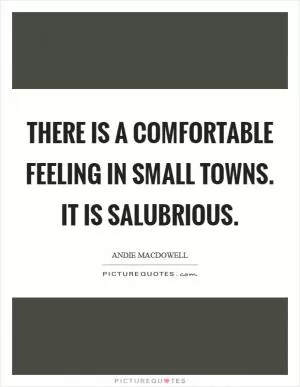 There is a comfortable feeling in small towns. It is salubrious Picture Quote #1