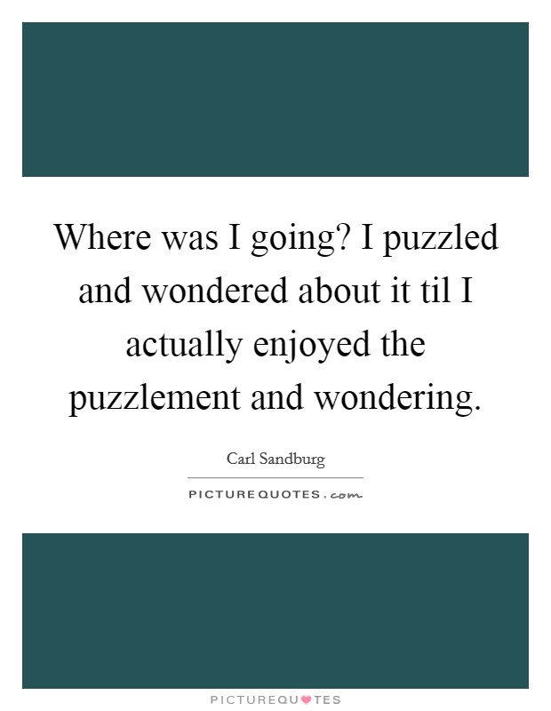 Where was I going? I puzzled and wondered about it til I actually enjoyed the puzzlement and wondering Picture Quote #1