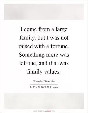 I come from a large family, but I was not raised with a fortune. Something more was left me, and that was family values Picture Quote #1