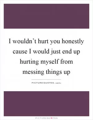 I wouldn’t hurt you honestly cause I would just end up hurting myself from messing things up Picture Quote #1