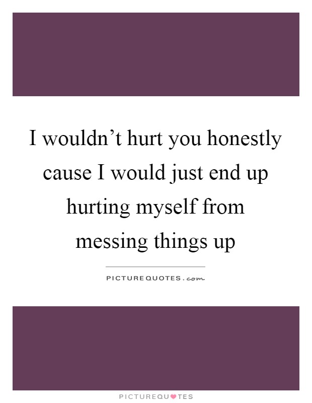 I wouldn't hurt you honestly cause I would just end up hurting myself from messing things up Picture Quote #1