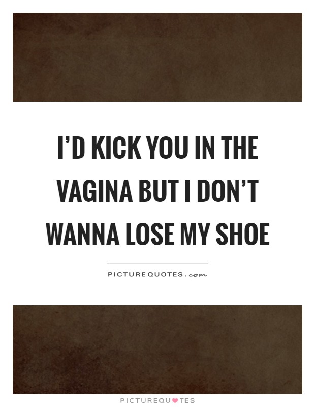 I'd kick you in the vagina but I don't wanna lose my shoe Picture Quote #1