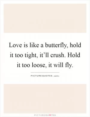 Love is like a butterfly, hold it too tight, it’ll crush. Hold it too loose, it will fly Picture Quote #1