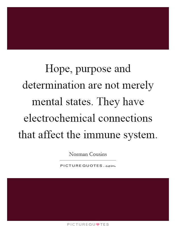 Hope, purpose and determination are not merely mental states. They have electrochemical connections that affect the immune system Picture Quote #1