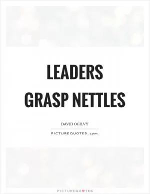 Leaders grasp nettles Picture Quote #1