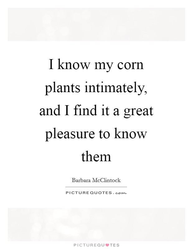 I know my corn plants intimately, and I find it a great pleasure to know them Picture Quote #1