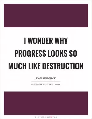 I wonder why progress looks so much like destruction Picture Quote #1