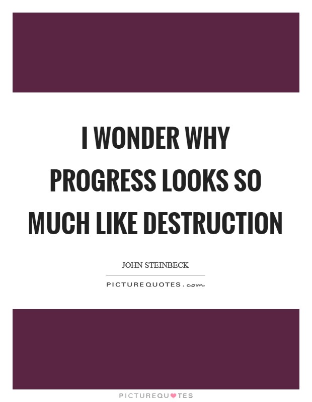 I wonder why progress looks so much like destruction Picture Quote #1