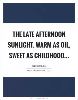 The late afternoon sunlight, warm as oil, sweet as childhood Picture Quote #1