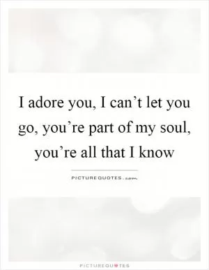I adore you, I can’t let you go, you’re part of my soul, you’re all that I know Picture Quote #1