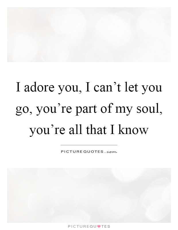 I adore you, I can't let you go, you're part of my soul, you're all that I know Picture Quote #1