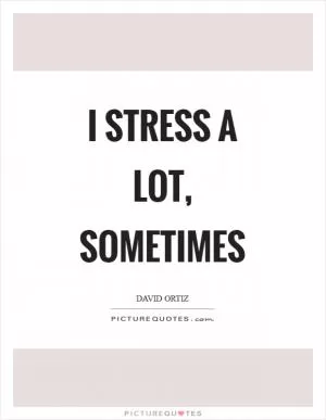 I stress a lot, sometimes Picture Quote #1