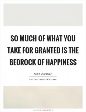 So much of what you take for granted is the bedrock of happiness Picture Quote #1