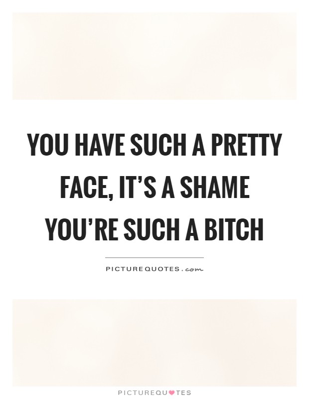 You have such a pretty face, it's a shame you're such a bitch Picture Quote #1