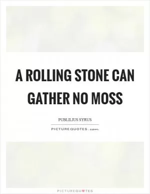 A rolling stone can gather no moss Picture Quote #1