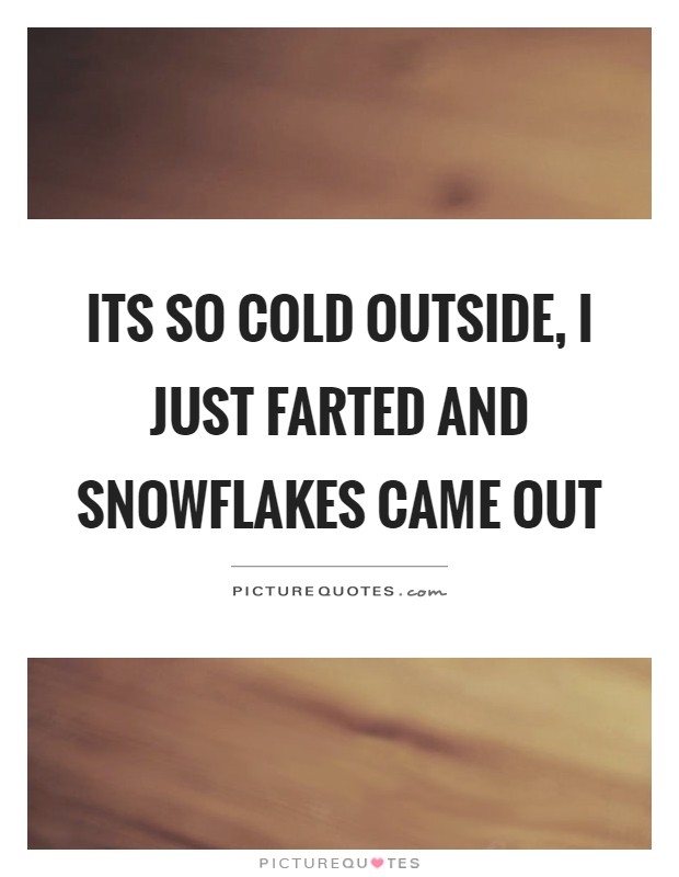 Its so cold outside, I just farted and snowflakes came out Picture Quote #1