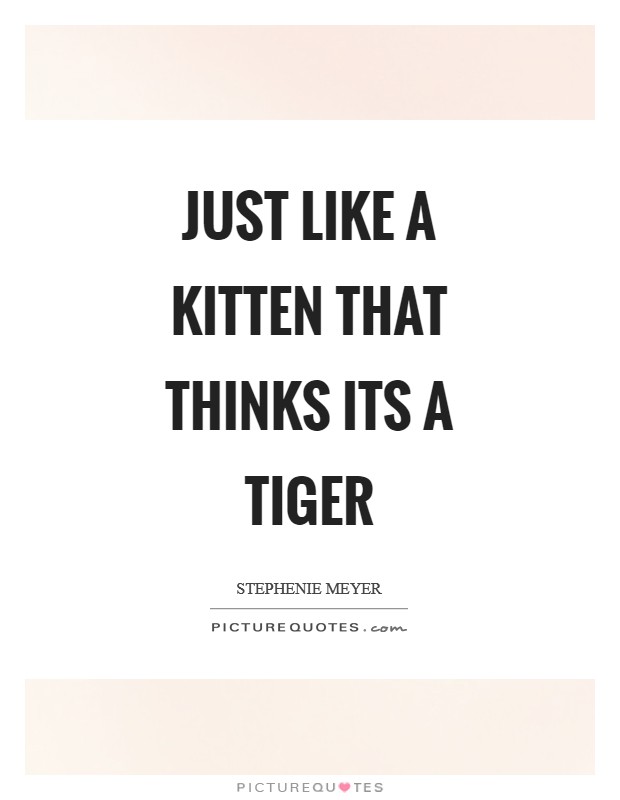 Just like a kitten that thinks its a tiger Picture Quote #1