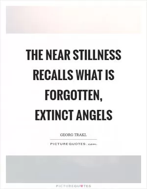 The near stillness recalls what is forgotten, extinct angels Picture Quote #1