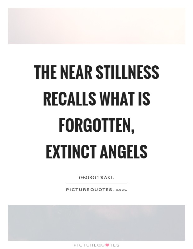 The near stillness recalls what is forgotten, extinct angels Picture Quote #1