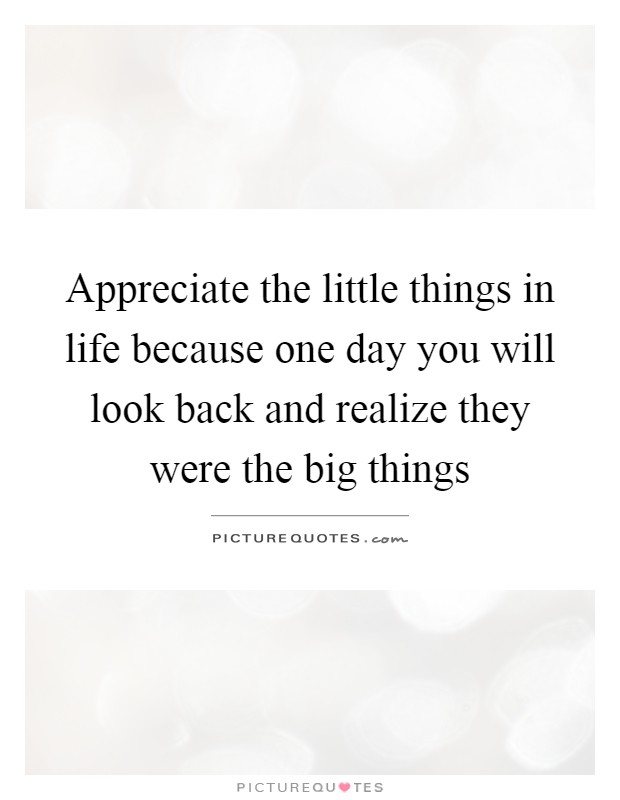 Appreciate the little things in life because one day you will look back and realize they were the big things Picture Quote #1