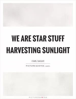 We are star stuff harvesting sunlight Picture Quote #1