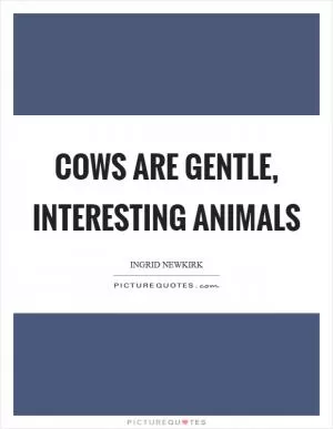Cows are gentle, interesting animals Picture Quote #1