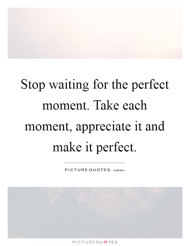 Stop waiting for the perfect moment. Take each moment, appreciate it and make it perfect Picture Quote #1