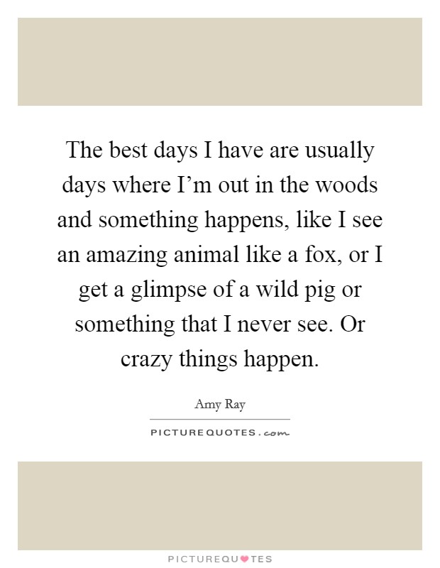 The best days I have are usually days where I'm out in the woods and something happens, like I see an amazing animal like a fox, or I get a glimpse of a wild pig or something that I never see. Or crazy things happen Picture Quote #1