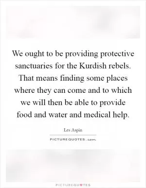 We ought to be providing protective sanctuaries for the Kurdish rebels. That means finding some places where they can come and to which we will then be able to provide food and water and medical help Picture Quote #1