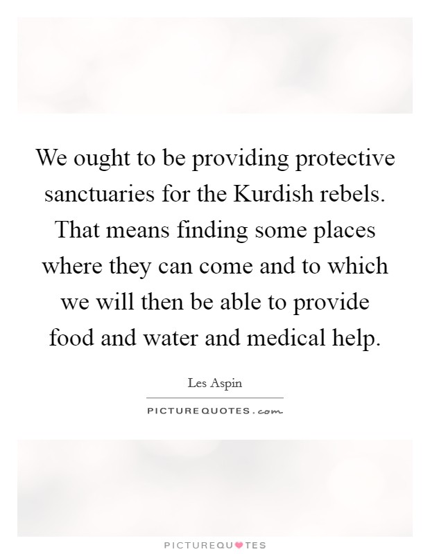 We ought to be providing protective sanctuaries for the Kurdish rebels. That means finding some places where they can come and to which we will then be able to provide food and water and medical help Picture Quote #1