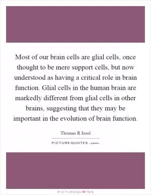 Most of our brain cells are glial cells, once thought to be mere support cells, but now understood as having a critical role in brain function. Glial cells in the human brain are markedly different from glial cells in other brains, suggesting that they may be important in the evolution of brain function Picture Quote #1