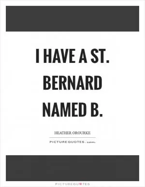 I have a St. Bernard named B Picture Quote #1