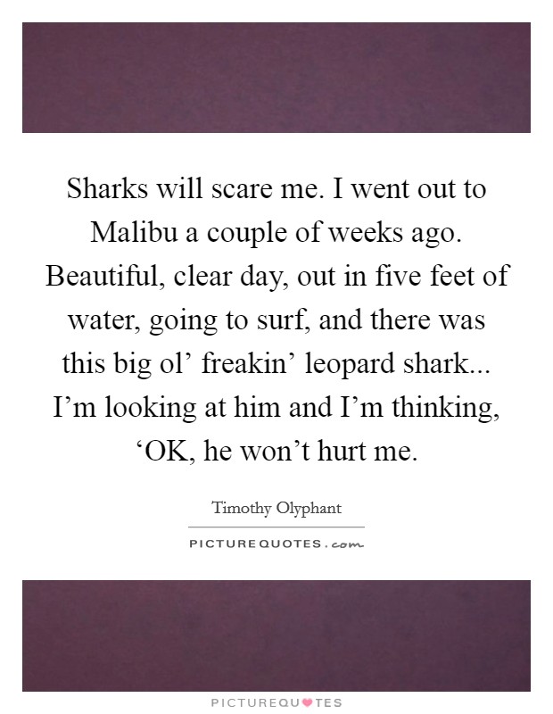 Sharks will scare me. I went out to Malibu a couple of weeks ago. Beautiful, clear day, out in five feet of water, going to surf, and there was this big ol' freakin' leopard shark... I'm looking at him and I'm thinking, ‘OK, he won't hurt me Picture Quote #1
