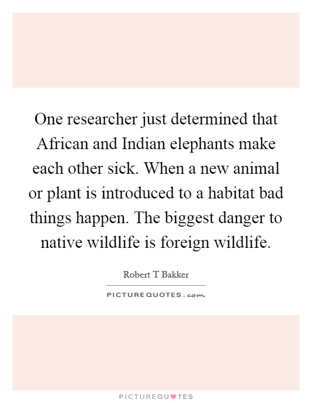 One researcher just determined that African and Indian elephants make each other sick. When a new animal or plant is introduced to a habitat bad things happen. The biggest danger to native wildlife is foreign wildlife Picture Quote #1