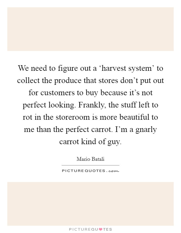 We need to figure out a ‘harvest system' to collect the produce that stores don't put out for customers to buy because it's not perfect looking. Frankly, the stuff left to rot in the storeroom is more beautiful to me than the perfect carrot. I'm a gnarly carrot kind of guy Picture Quote #1