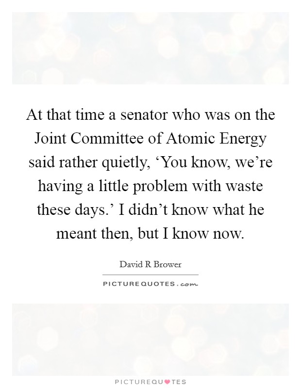 At that time a senator who was on the Joint Committee of Atomic Energy said rather quietly, ‘You know, we're having a little problem with waste these days.' I didn't know what he meant then, but I know now Picture Quote #1