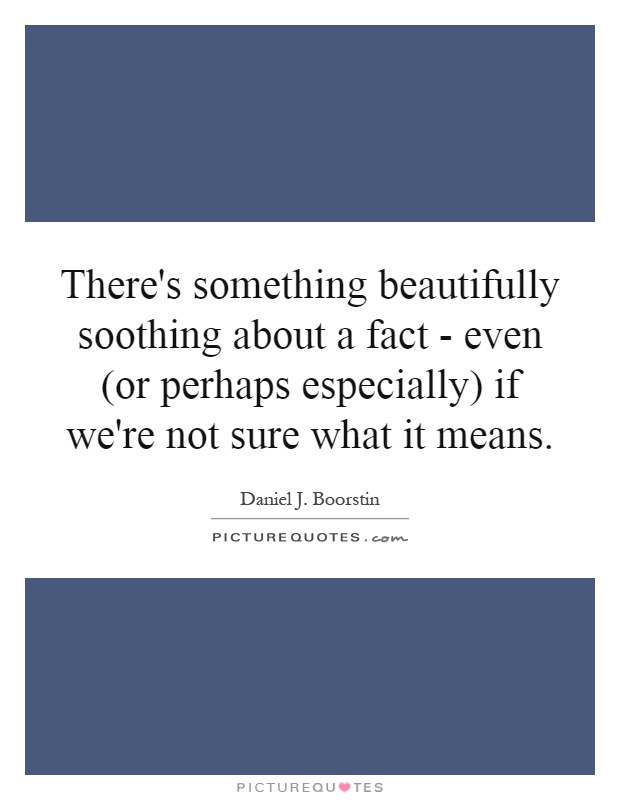 There's something beautifully soothing about a fact - even (or perhaps especially) if we're not sure what it means Picture Quote #1