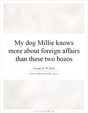 My dog Millie knows more about foreign affairs than these two bozos Picture Quote #1