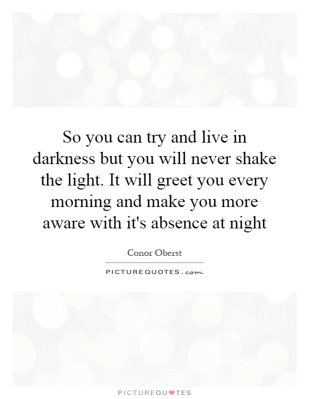 So you can try and live in darkness but you will never shake the light. It will greet you every morning and make you more aware with it's absence at night Picture Quote #1
