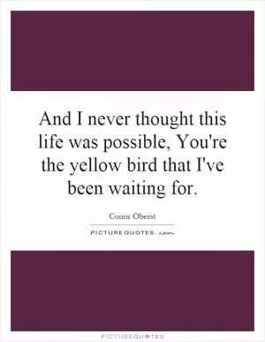And I never thought this life was possible, You're the yellow bird that I've been waiting for Picture Quote #1