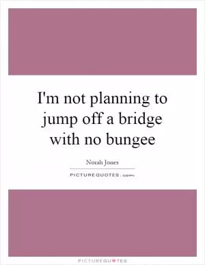 I'm not planning to jump off a bridge with no bungee Picture Quote #1