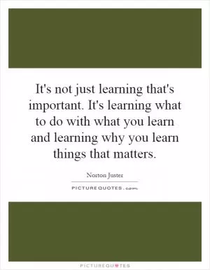 It's not just learning that's important. It's learning what to do with what you learn and learning why you learn things that matters Picture Quote #1