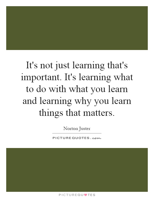 It's not just learning that's important. It's learning what to do with what you learn and learning why you learn things that matters Picture Quote #1