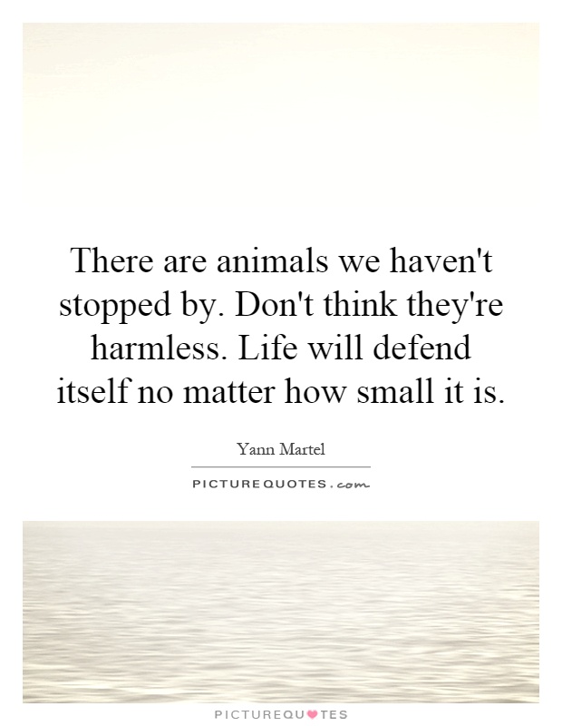 There are animals we haven't stopped by. Don't think they're harmless. Life will defend itself no matter how small it is Picture Quote #1
